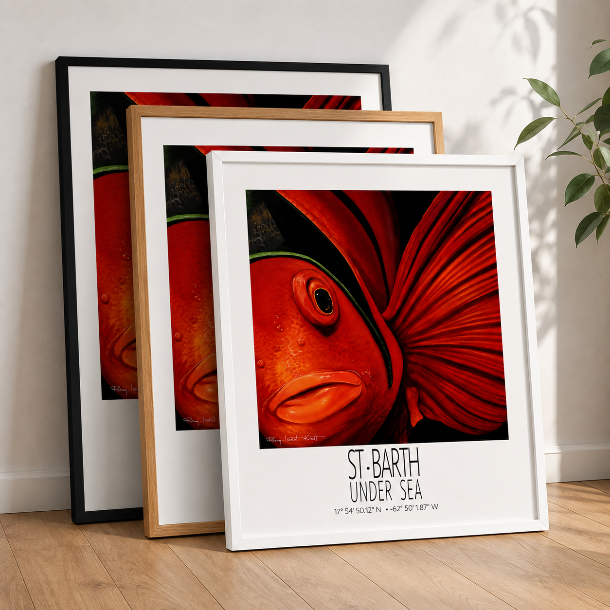Tomate frame color options Black Red Oak and White