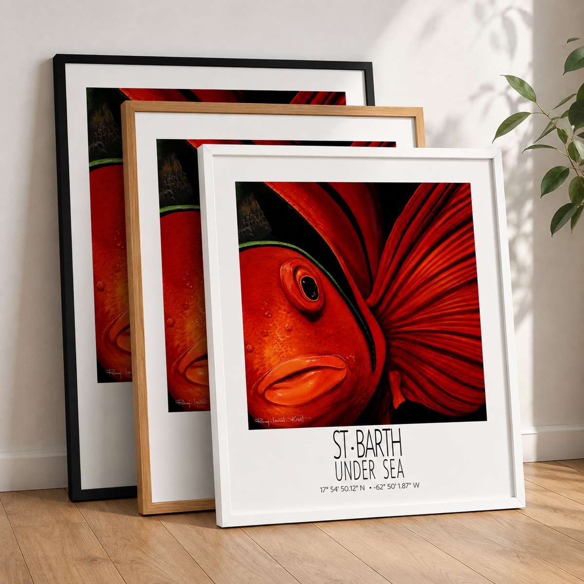 Tomate frame color options Black Red Oak and White