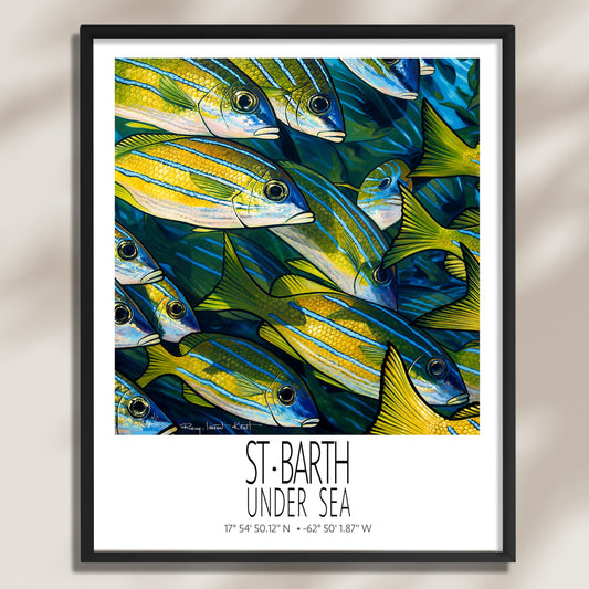 Torchades framed St Barth vintage travel poster