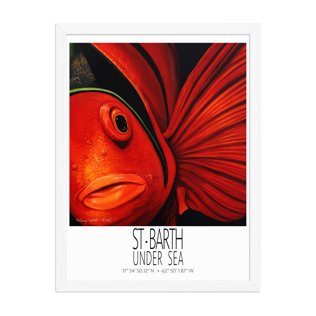 Tomate poster in white frame