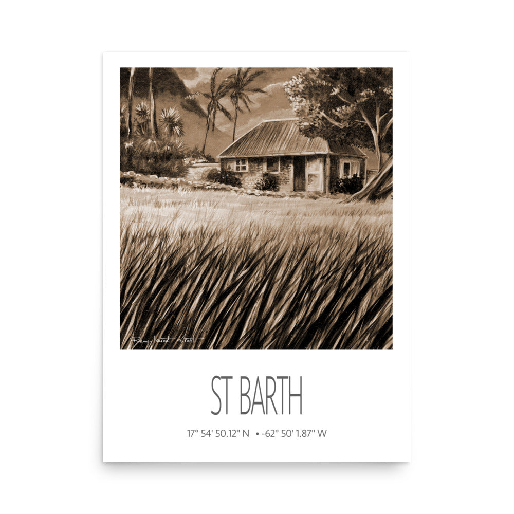 Vintage Travel Poster – St Barth – Cottage Palm Trees – Caribbean Art Print